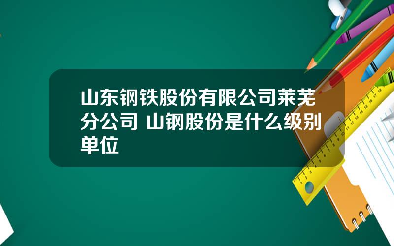 山东钢铁股份有限公司莱芜分公司 山钢股份是什么级别单位